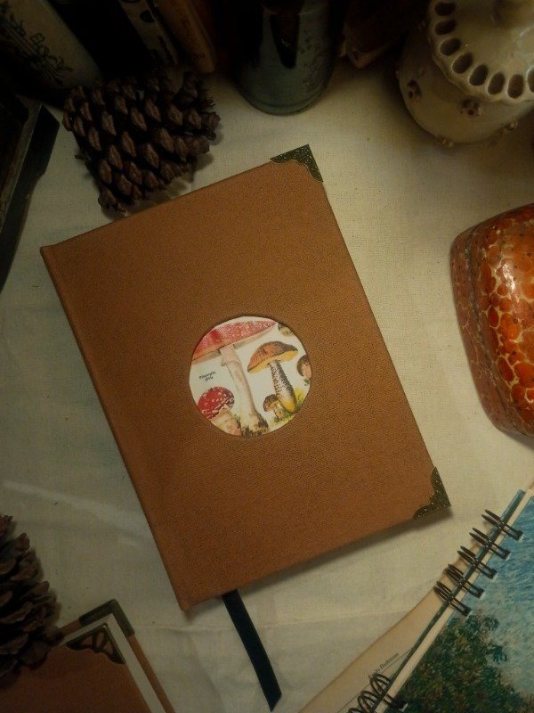 Producto - Diario Fungi A5