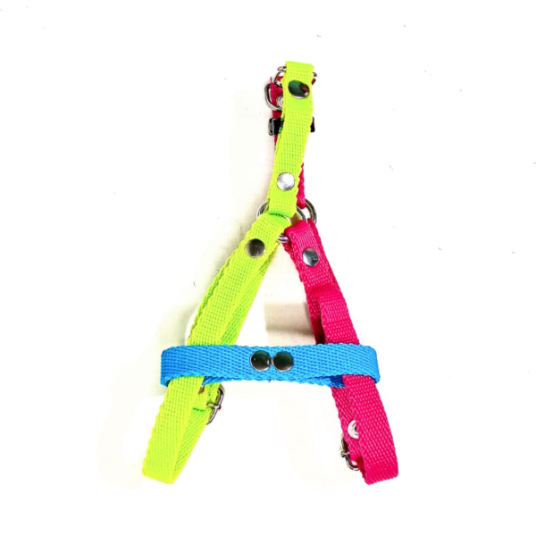 Producto - Pretal regulable clásico o con patitas para mascotas - 4