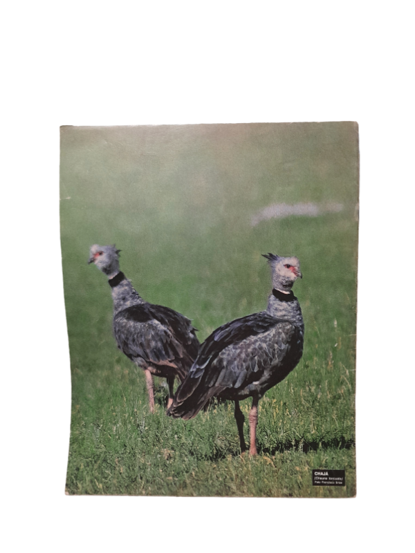 Miniatura de producto - 7