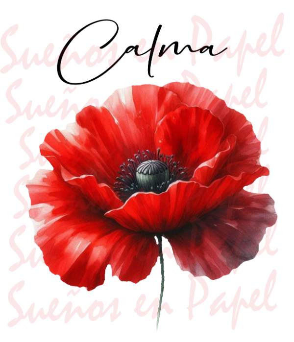 Producto - Lamina DTF DB35