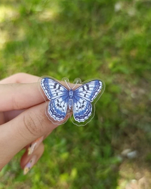 Producto - Pin Mariposa Celeste