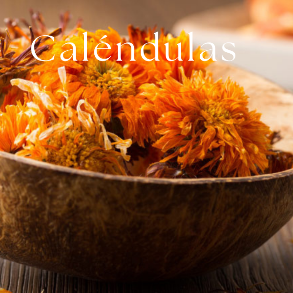Producto - Caléndulas 10gs