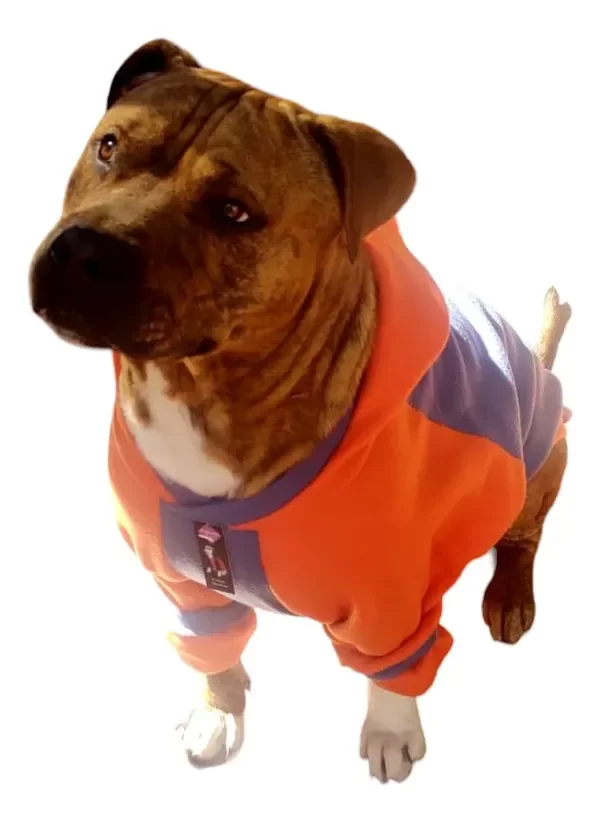 Producto - BUZO PERRO GRANDE