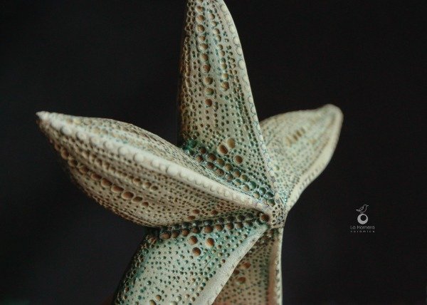 Producto - Escultura Estrella de Mar - Pieza Única de Autor - 3