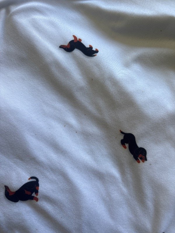 Producto - (FALLADO) conjunto modal perritos