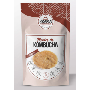 Producto - Madre de Kombucha - 1Un - PRAMA