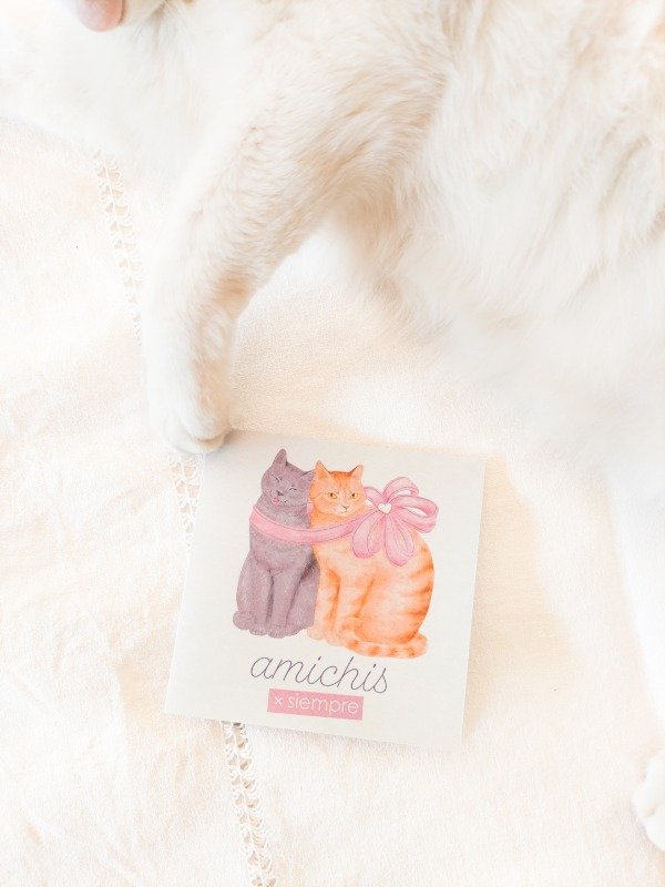 Producto - Tarjeta Amichis x siempre