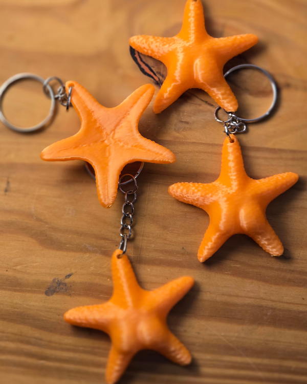 Producto - Estrella Conicet
