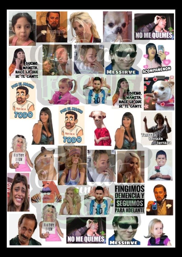 Producto - Memes mod 6