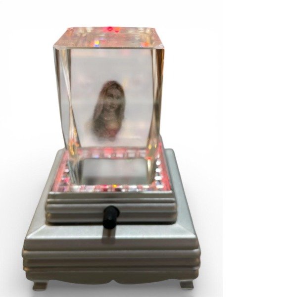 Producto - CUBO DE CRISTAL CON FIGURA 3D - SAGRADO CORAZON DE MARIA - CHICO