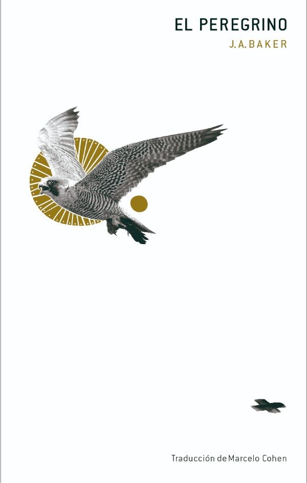Producto - El peregrino, J. A. Baker