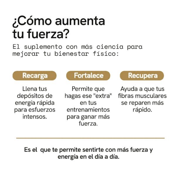 Producto - Creatina Monohidratada Micronizada en Polvo - 5