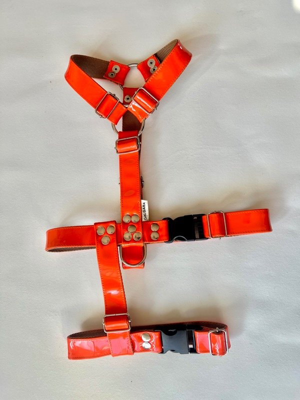 Producto - Pretal triple agarre charol