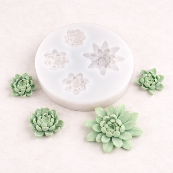 Producto - MOLDE MIX MINI SUCULENTAS X4 -5M12-