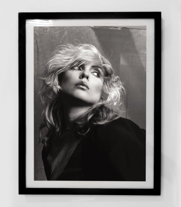 Producto - BLONDIE (Nro 7)
