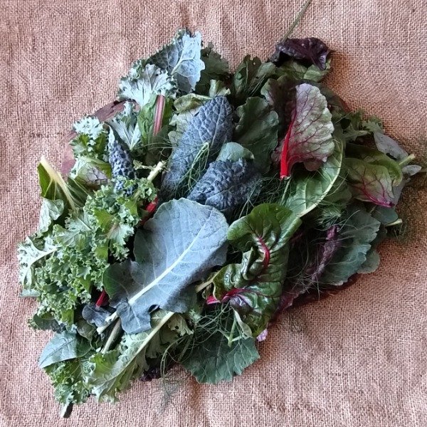 Producto - Mix de Hojas Verdes Mercado de la Tierra