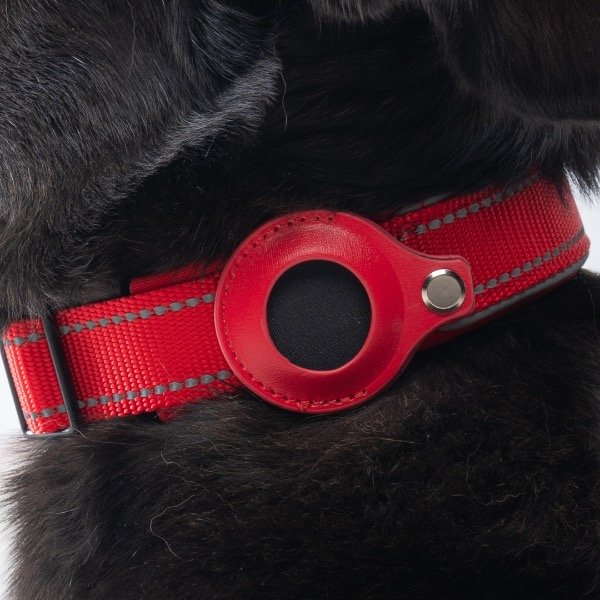 Producto - Collar Balto ROJO