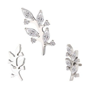 Producto - Labret botanico