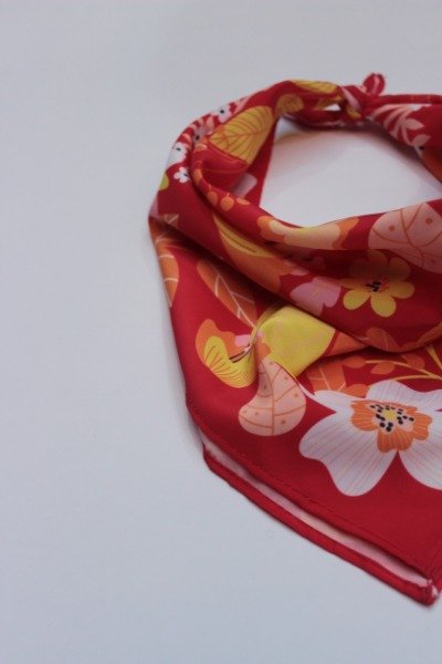 Imagen de producto - 1