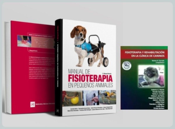 Producto - Manual de Fisioterapia + Fisioterapia y Rehabilitación Clínica