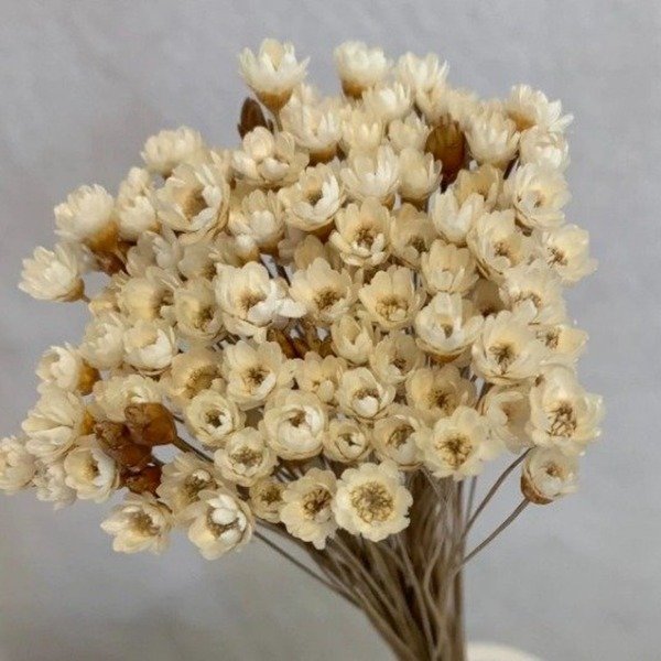 Producto - RAMO DIAMANTINA