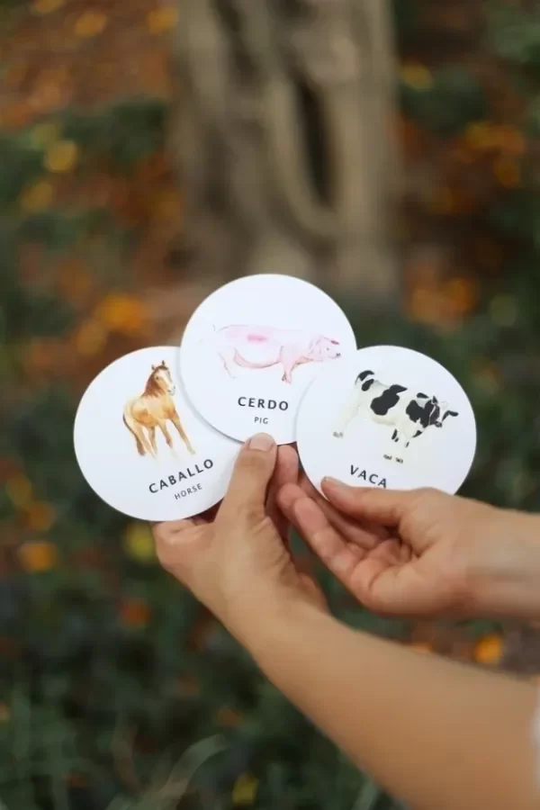 Producto - Juego de memoria granja