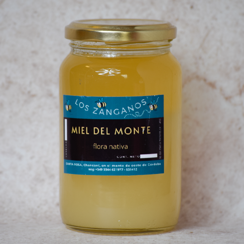 Producto - Miel Multifloral Vidrio - 500 Gr -Familias Productoras del Monte de Traslasierra