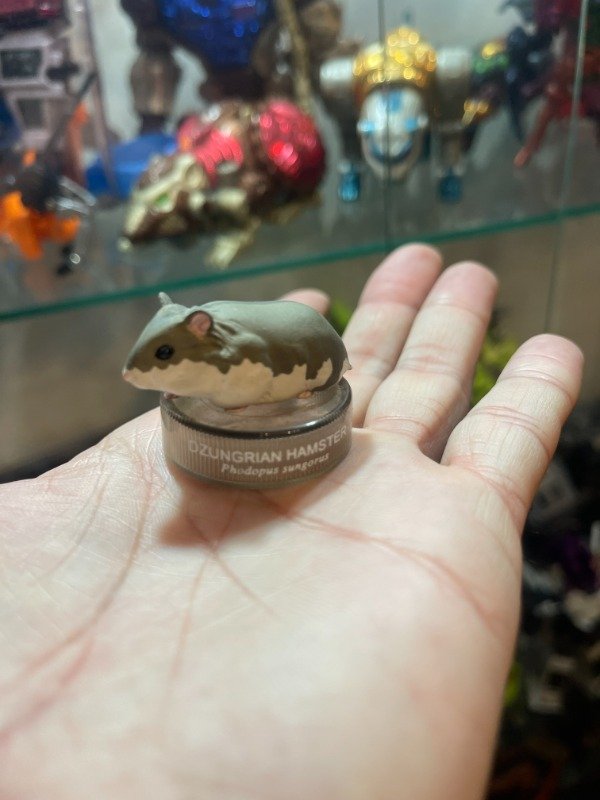 Producto - HAMSTERS LUCH GASHAPON KAIYODO #1