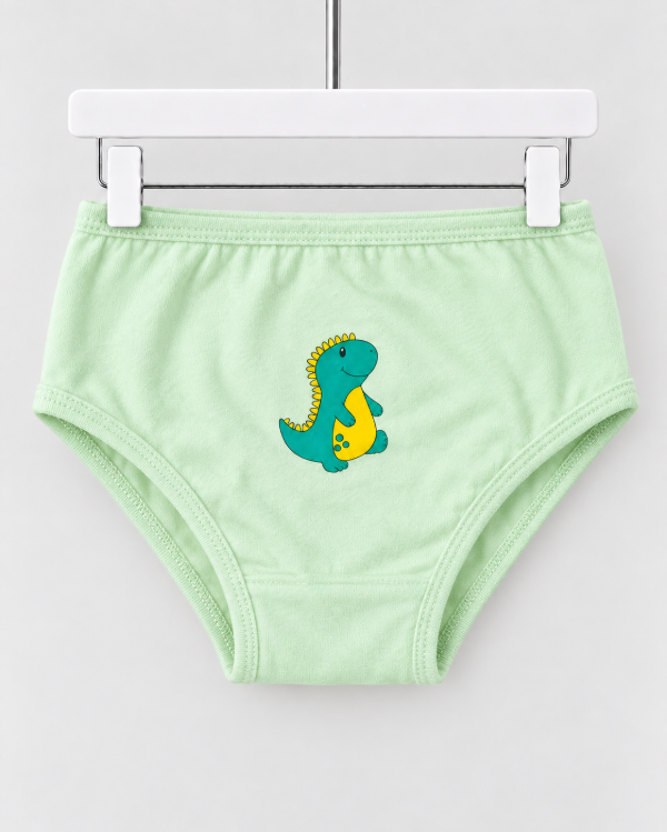 Producto - Pack de bombacha  Dino - 1