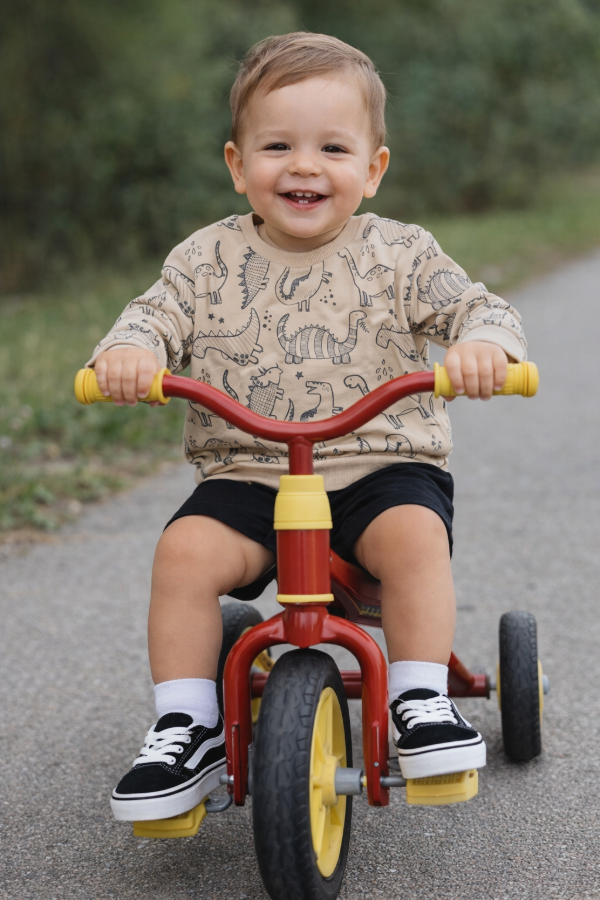 Producto - BUZO RUSTICO DINOS - transferencia 16.490