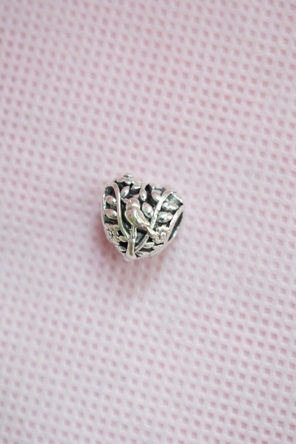 Producto - Combo de pulsera estilo pandora + un charm a elección - 2