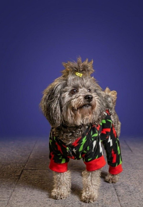 Producto - Pijama Rayo Nocturno