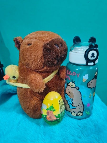Producto - Set de regalo Capivara