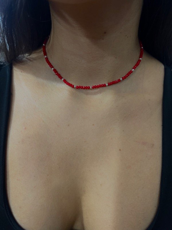 Producto - Collar protección