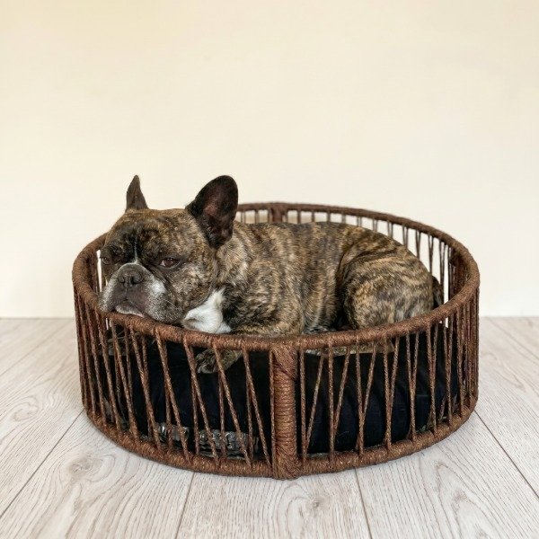 Producto - Eco Pet