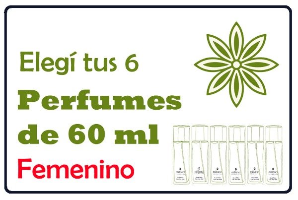 Producto - Promo! 6 Perfumes Millanel Femeninos 60ml a Elección