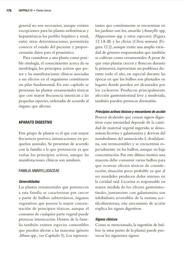 Producto - Zeinsteger: Abordaje Terapéutico de las Intoxicaciones en Pequeños Animales - 3