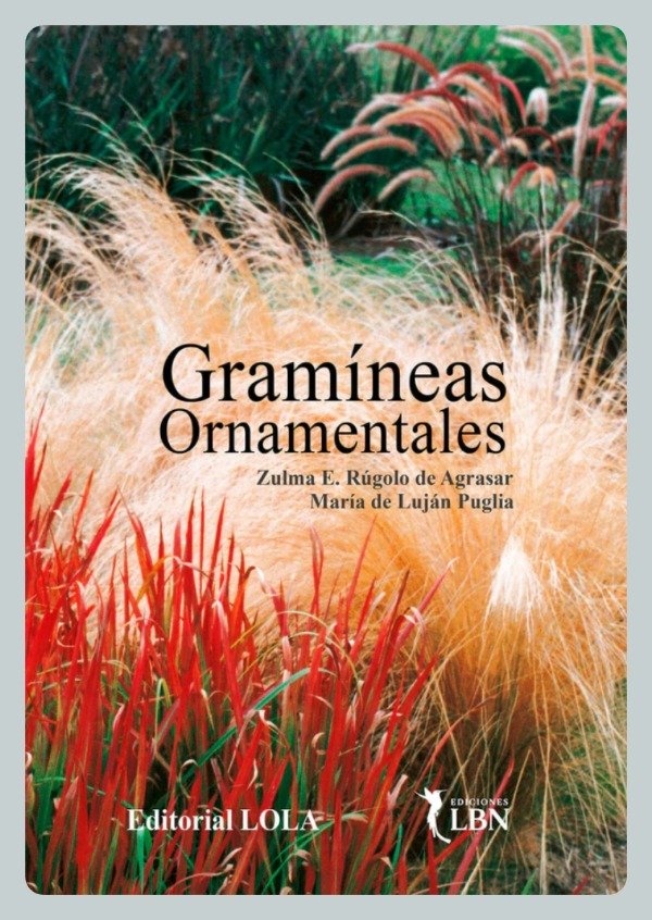 Producto - Rúgolo: Gramíneas Ornamentales