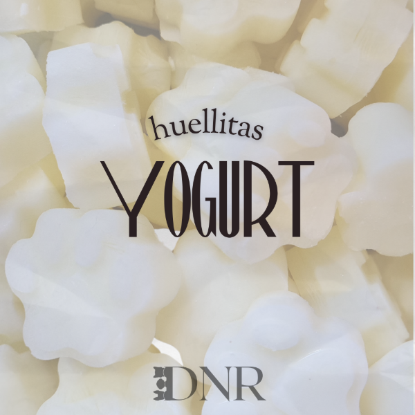 Producto - YOGURT 450ml