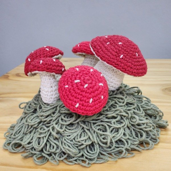 Producto - MI PRIMER AMIGURUMI - HONGUITO - 2
