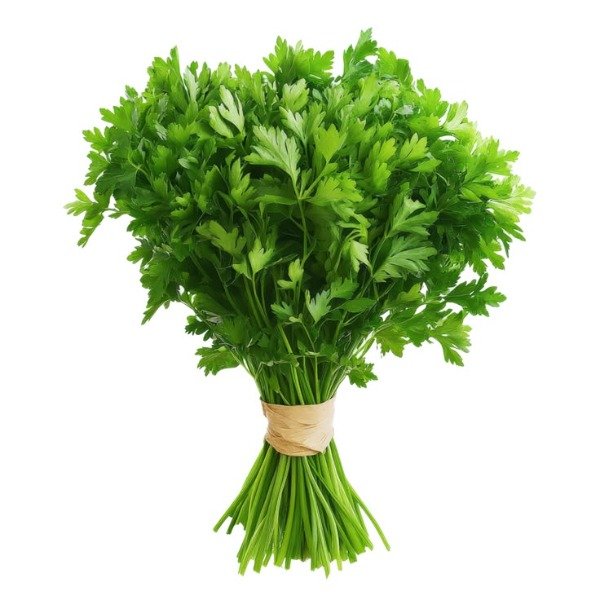 Producto - PEREJIL