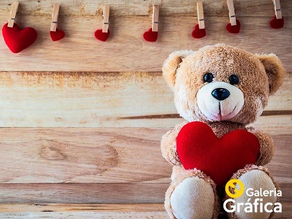 Producto - Ositos Peluches FS 05