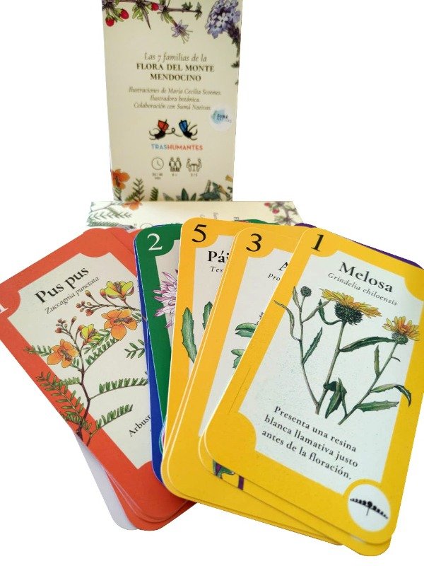 Producto - Las 7 familias de la Flora del monte Mendocino.  juego de cartas