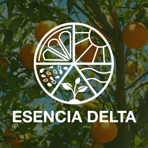 Producto - Nueces Pecán caramelizadas 50g.