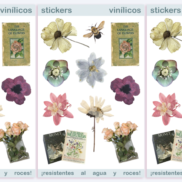 Producto - botánica - planchita