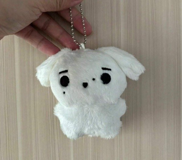 Producto - Llavero Enhypen Sunghoon
