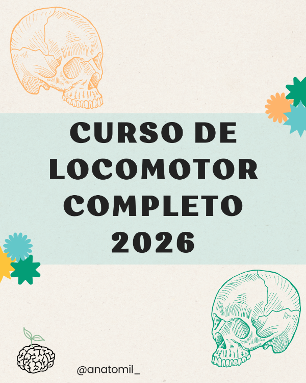 Producto - CURSO COMPLETO DE LOCOMOTOR 2026