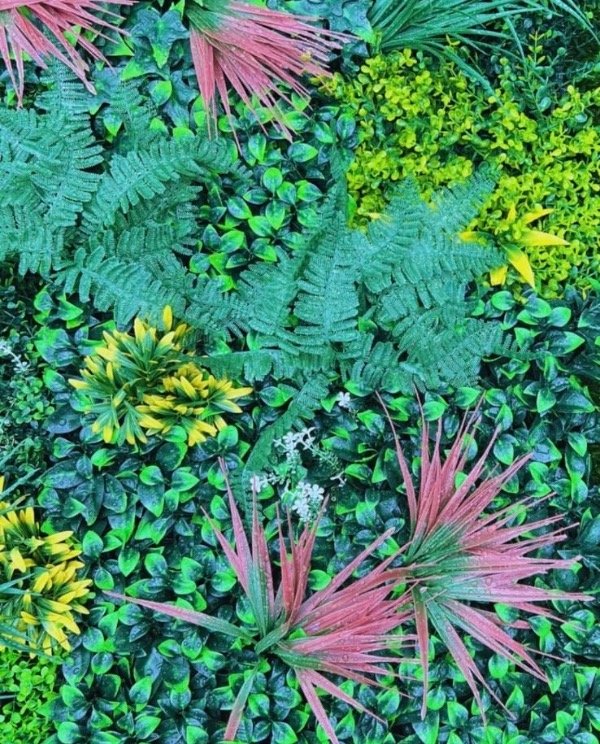 Producto - Jardín Vertical Amazonas