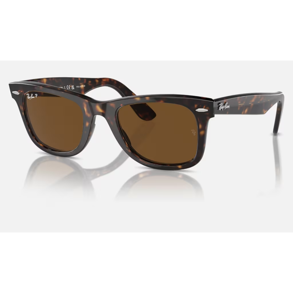 Producto - WAYFARER-CAREY BROWN