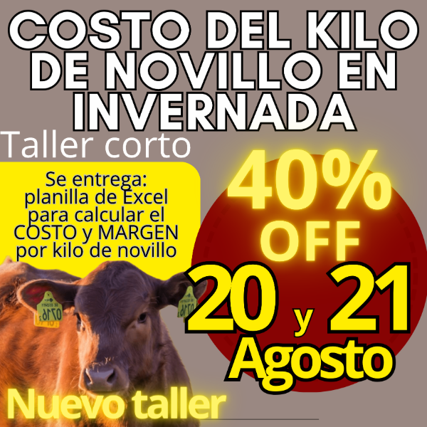 Producto - Taller corto: cálculo del costo del kilo de novillo